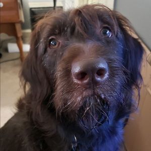 Meet your Posher, Jack